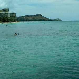 Meet your Posher, Jocelin